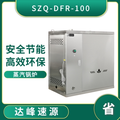 燃气蒸汽锅炉（SZQ-DFR-100）