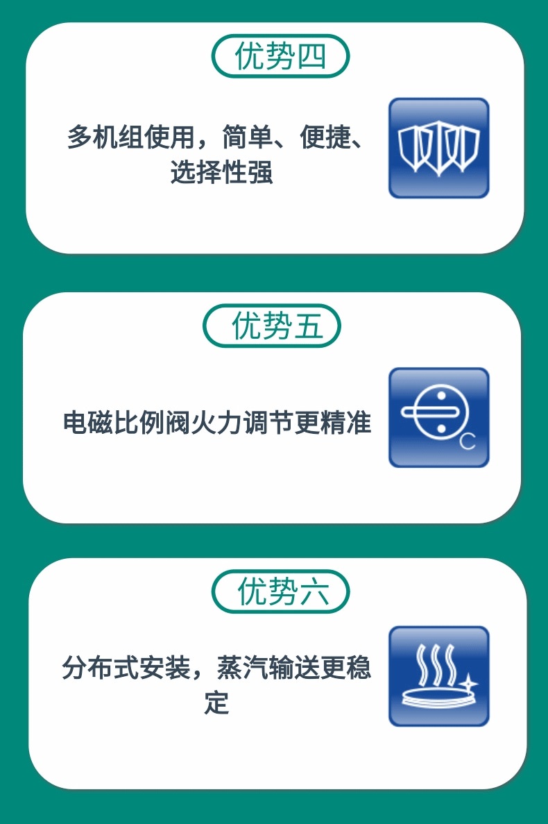 燃气蒸汽锅炉（SZQ-DFR-80）(图5)